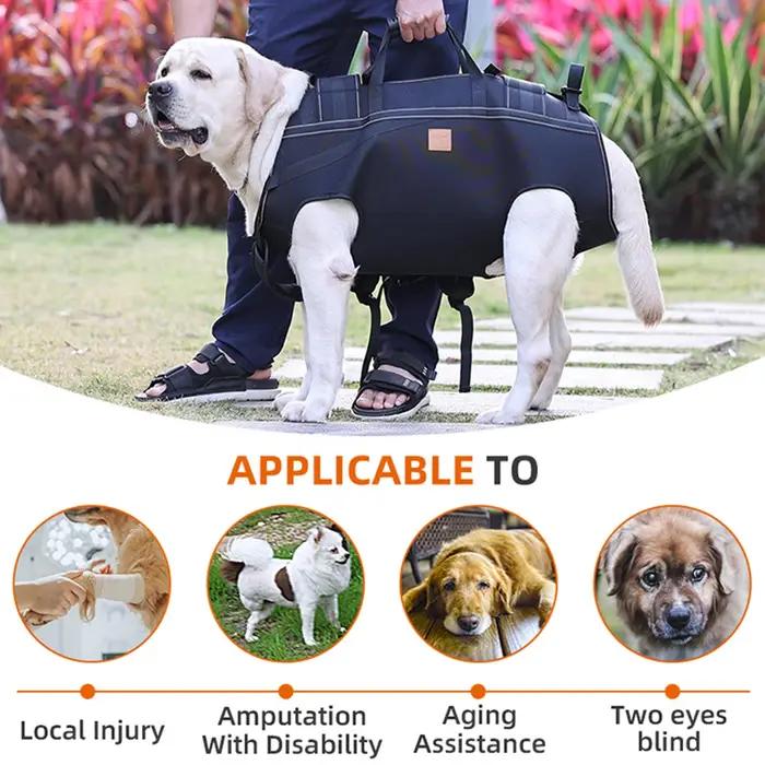 Sac à dos de transport pour grand chien