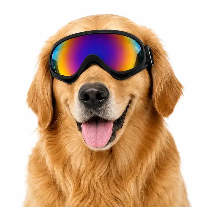 Lunettes de protection réglables noires pour chien
