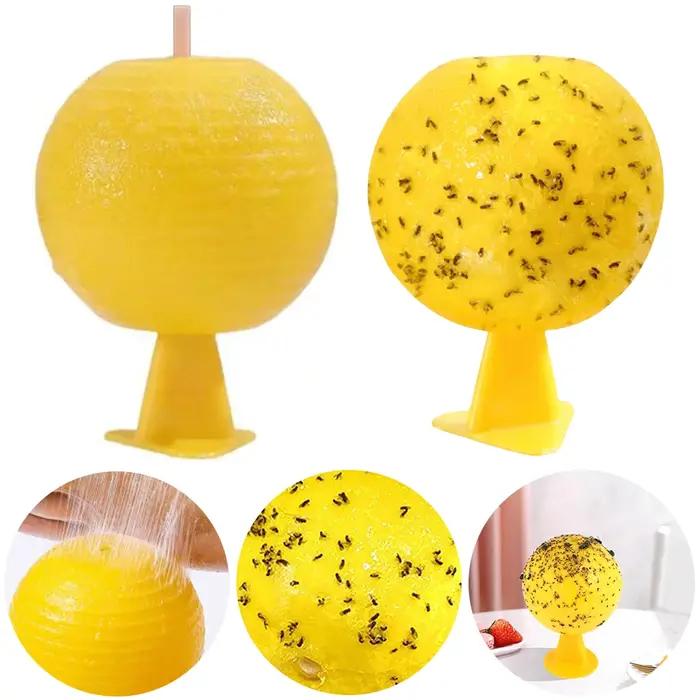 Pièges à mouches des fruits