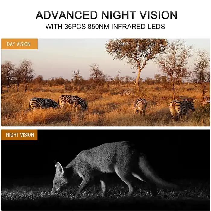 Caméra de chasse 4K WiFi panneau solaire alimentée vision nocturne étanche IP66 pour observation de la faune et chasse nocturne
