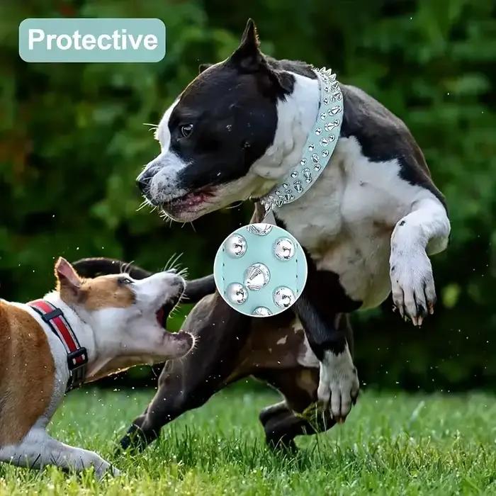 Ensemble collier et laisse pour chien à pointes