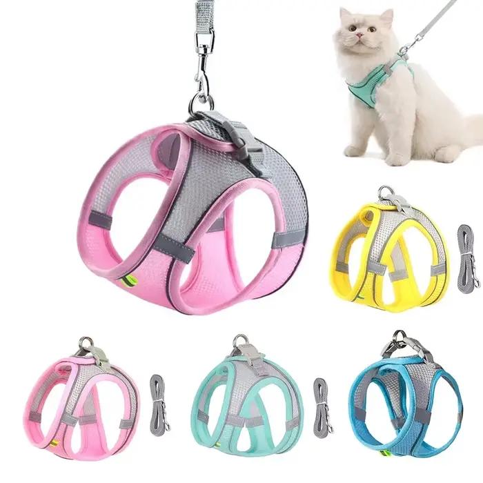 Ensemble de laisse harnais pour chien