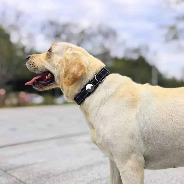 Collier pour chien Airtag avec étui AirTag étanche