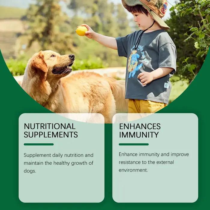 Supplément multivitaminique YEGBONG pour renforcer le système immunitaire de votre chien soulage l'inconfort de la peau améliore la santé générale des chiens occasions spéciales
