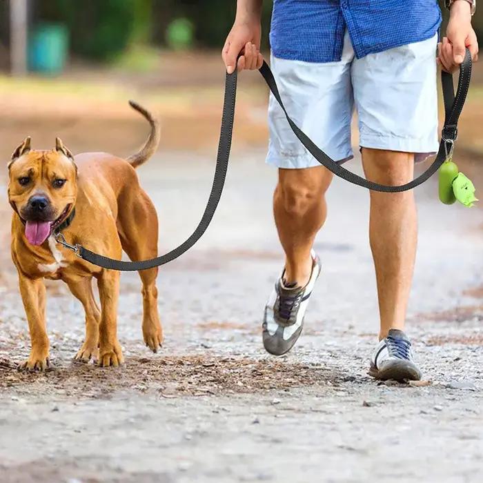 Laisse de sécurité réfléchissante pour animaux de compagnie 1
