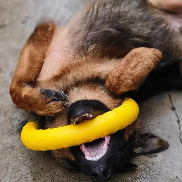 Jouets pour chiens : Anneaux indestructibles pour la mastication