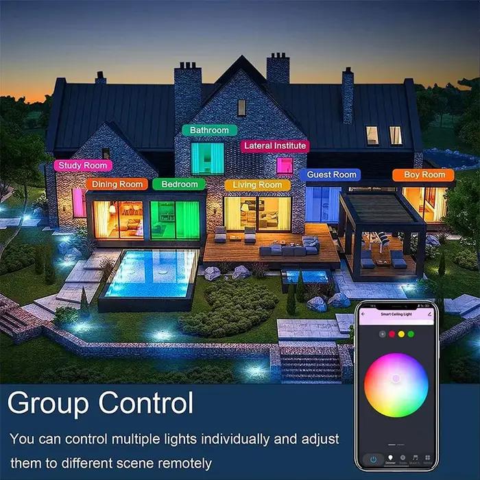 Tuya WiFi plafonnier intelligent RGBCW Led plafonniers lustre 24W 220V chambre salon décoration avec