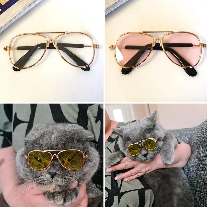 Lunettes de soleil réfléchissantes rondes vintage pour animaux de compagnie