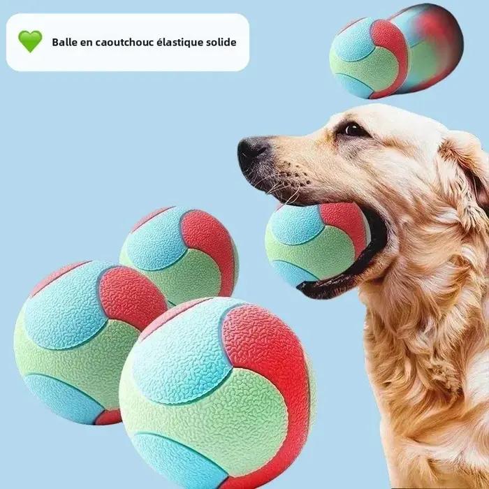 Jouets pour chiens, balles rebondissantes