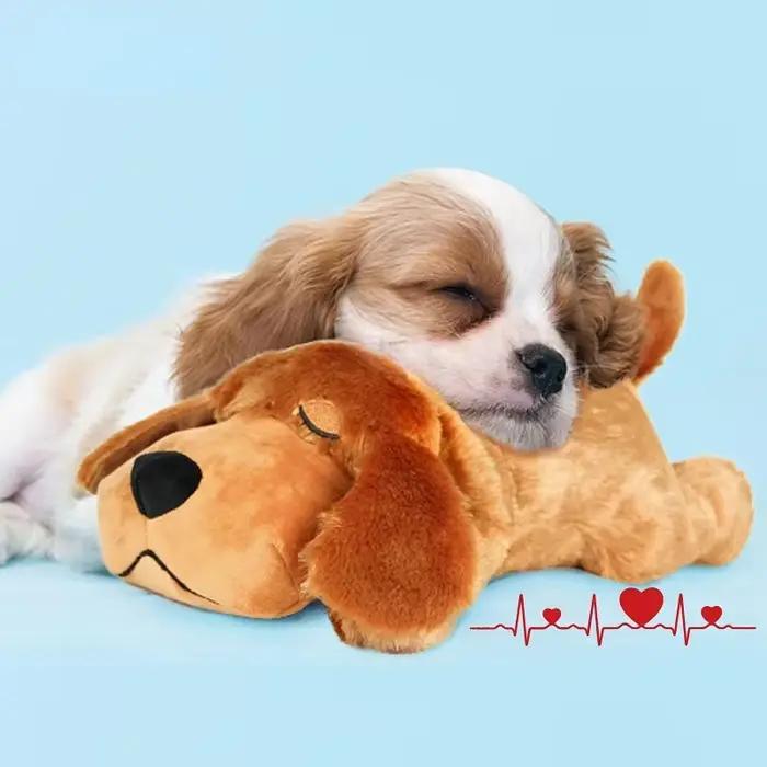Peluche d'entraînement comportemental pour chiot