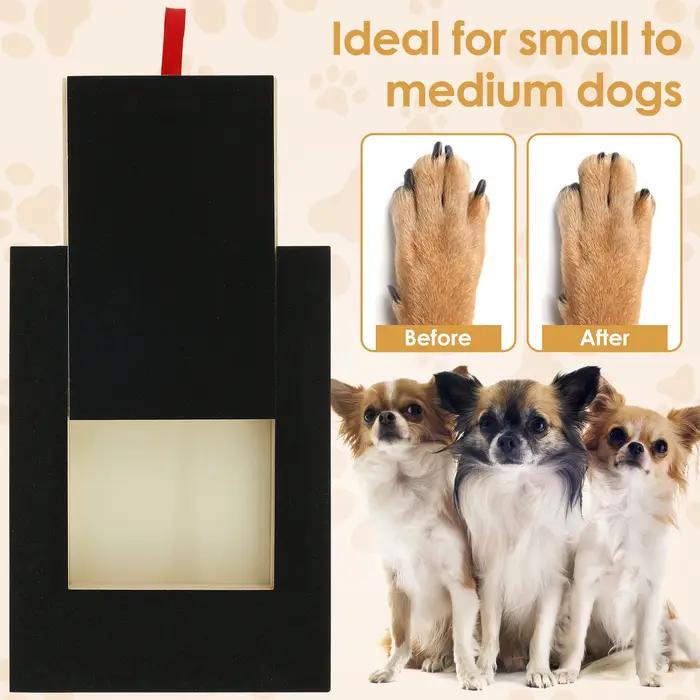 Tampon à gratter pour chien