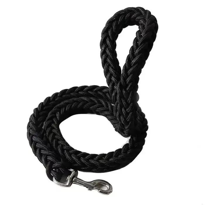 Grande laisse pour chien