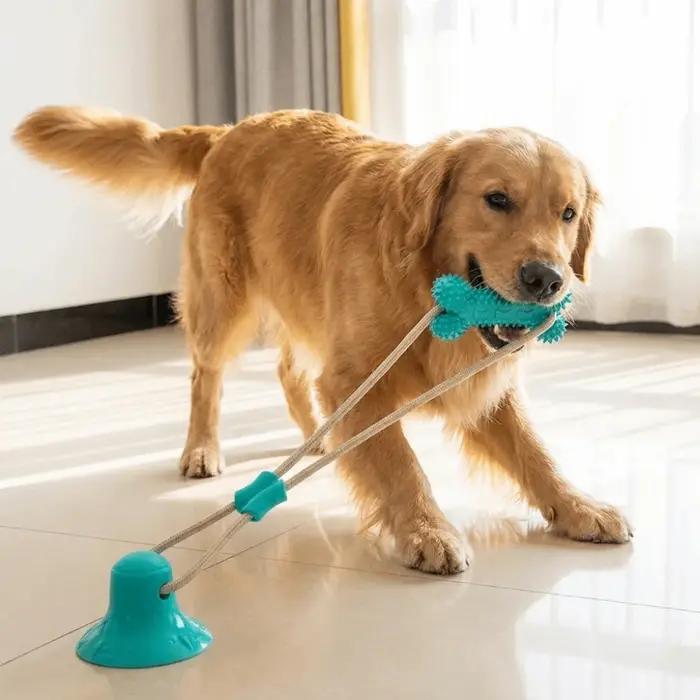 Jouet à mâcher pour chiot à ventouse