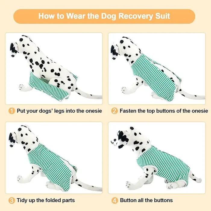 Combinaison de récupération pour chien pour après chirurgie