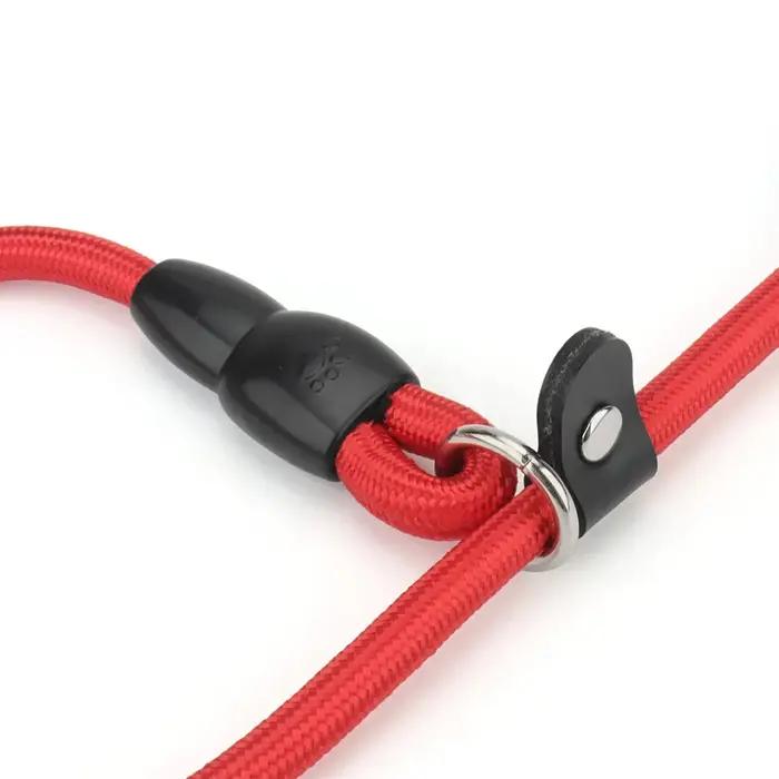 Collier à glissière pour chien
