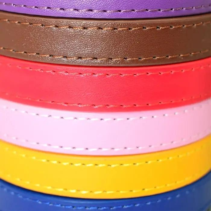 Laisse en cuir solide pour chiens de compagnie