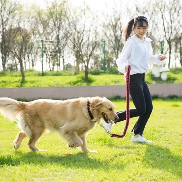 Laisse pour chien tressée à 8 brins, robuste : laisse tactique anti-traction pour races moyennes/grandes, réglable et réfléchissante