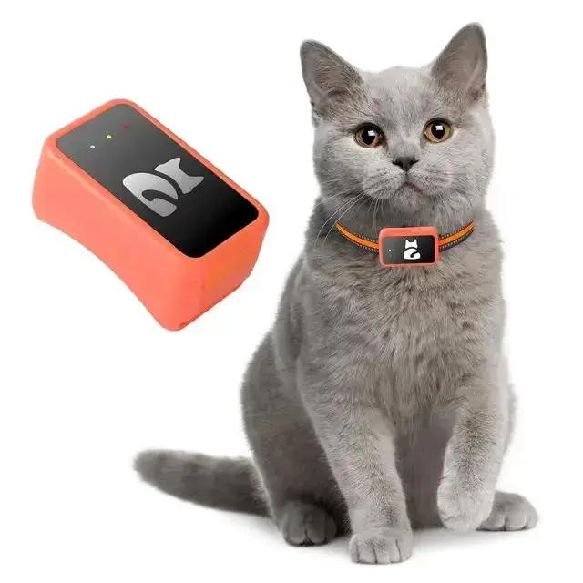 Positionnement de précision GPS 4G pour animaux de compagnie