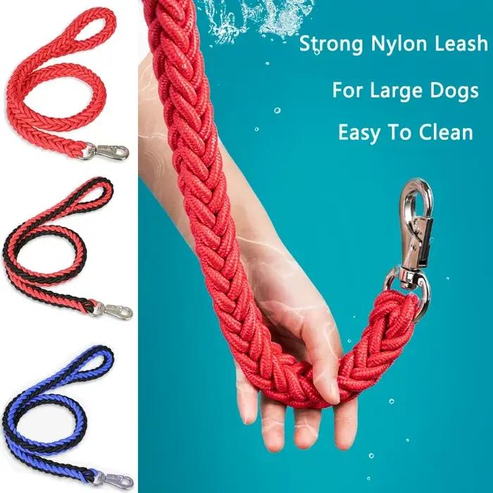Laisse pour chien de grande taille