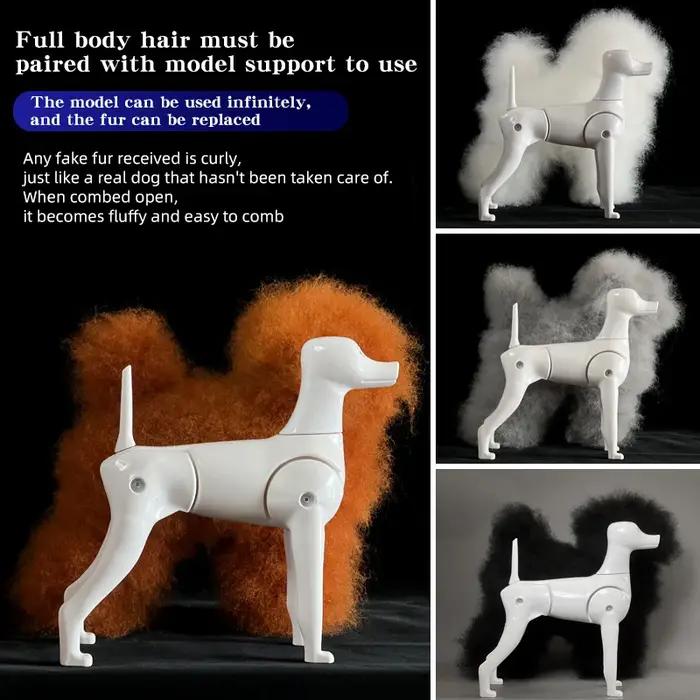 Modèle de chien squelette intégral standard pour toilettage d'animaux, simulation de beauté et d'entraînement pour coiffeurs canins
