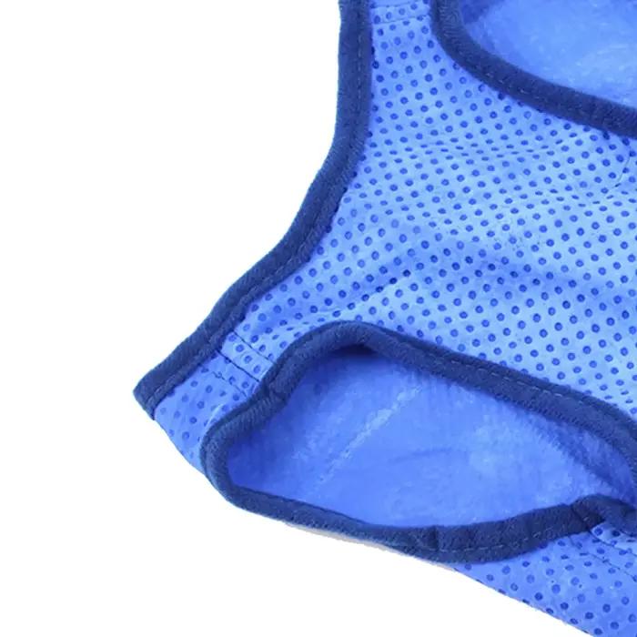 Glaçage rafraîchissant portable pour chien