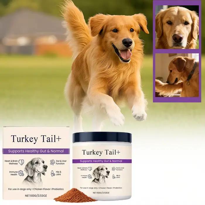 Poudre Probiotique Saveur Bacon pour Chiens – Équilibre de la Flore Intestinale, Aide Digestive, Soi