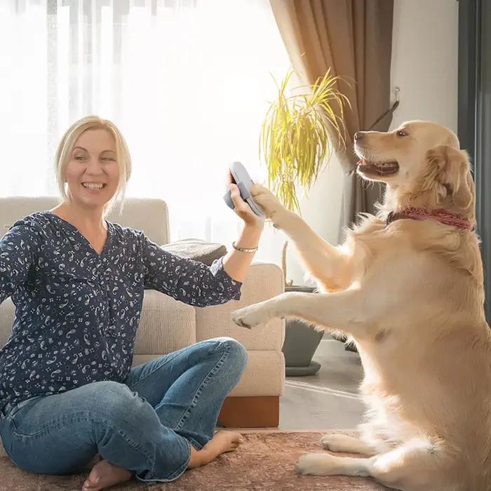 Lime à ongles pour chien
