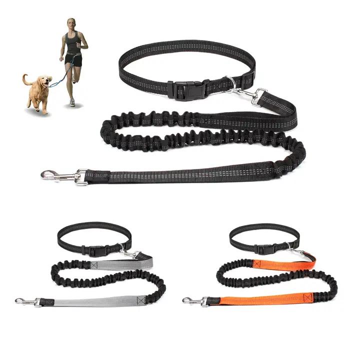 Laisse pour chien mains libres pour la promenade