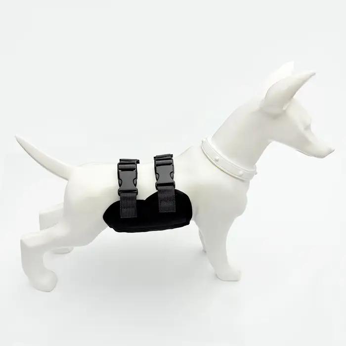 Pantalon Physiologique pour Animaux de Compagnie