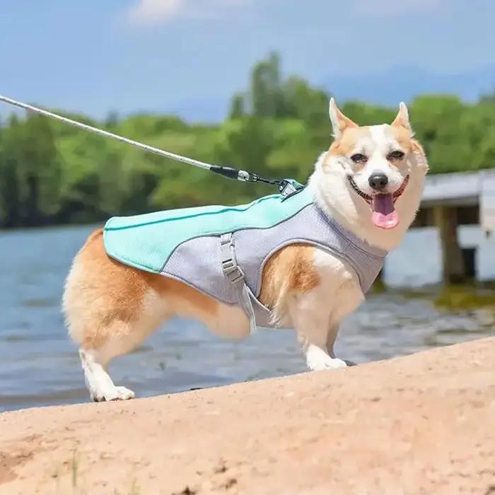 Gilet rafraîchissant pour chien