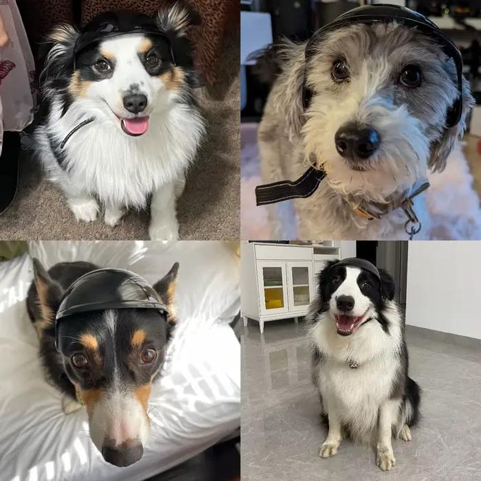 Casque pour chien avec trous pour les oreilles, casque de sécurité rigide pour animaux de compagnie, chapeau léger pour chiens pour les activités de plein air, les voyages, le camping