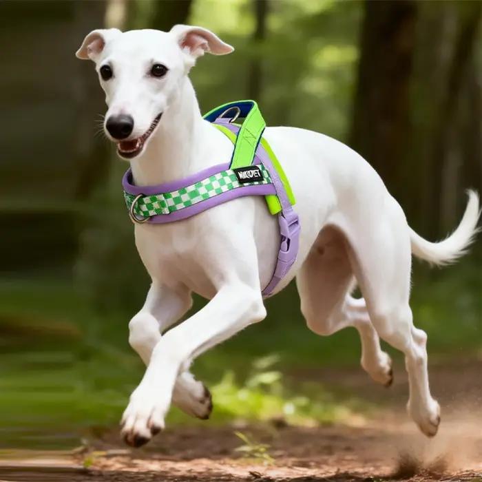 Nouveau Harnais Poitrail pour Chien Style Selle Anti-Explosion