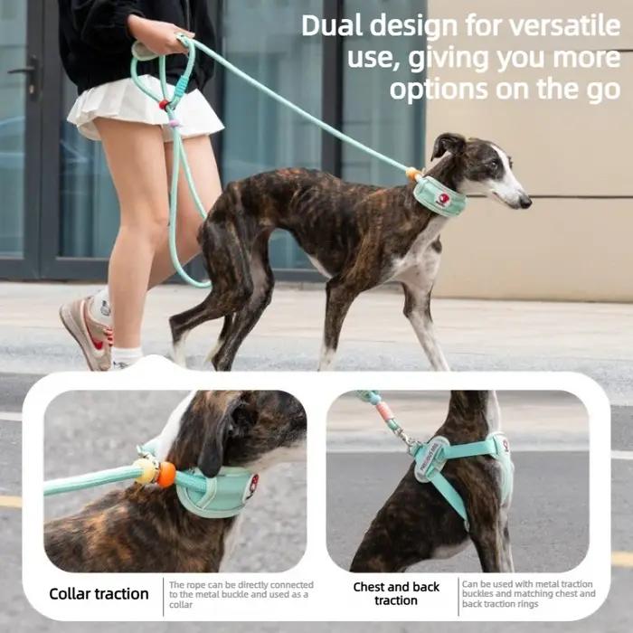Laisse de traction pour chien de 1,8 m avec protection de cou, laisse de promenade multifonctionnelle pour chiens de taille moyenne à grande, laisse pour lévrier, accessoires pour chiens