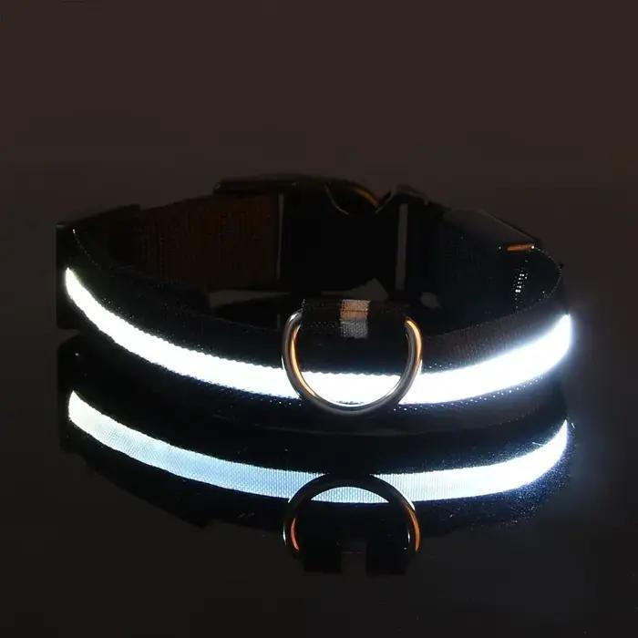 Collier de chien lumière LED nuit sécurité clignotant lueur dans la nuit laisse de chien de compagni