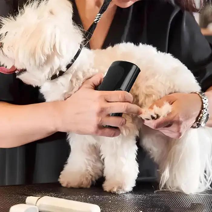 Brosse professionnelle de démêlage pour animaux de compagnie