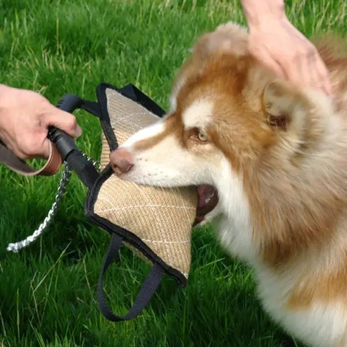 Jouet de dressage pour chien durable avec 3 poignées