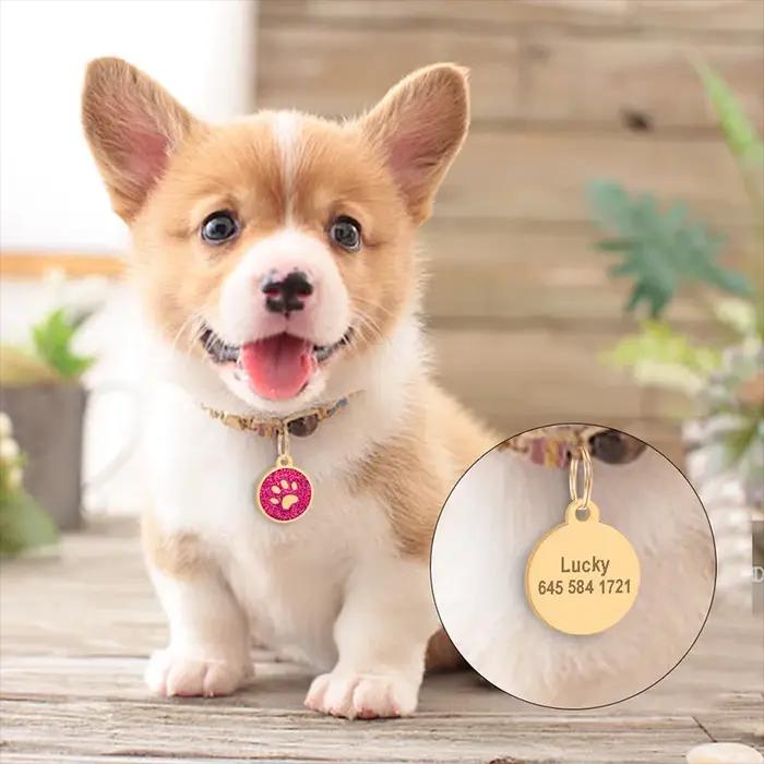 Étiquette d'identification de chien anti-perte personnalisée