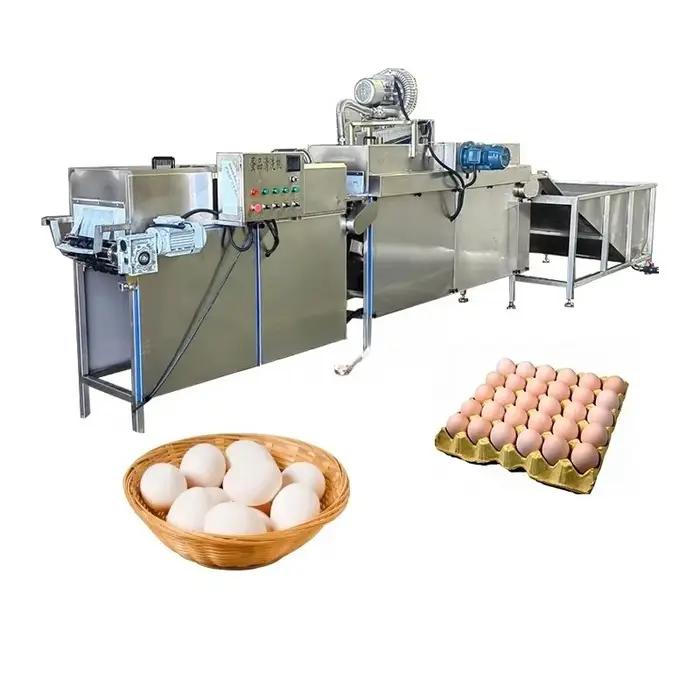 Équipement de traitement des œufs de canard personnalisé 2025 – Laveuse à brosses industrielles et sécheuse à air chaud pour 10 000 œufs par heure