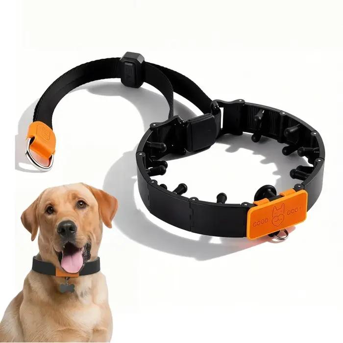 Ensemble de colliers de dressage professionnels pour chiens