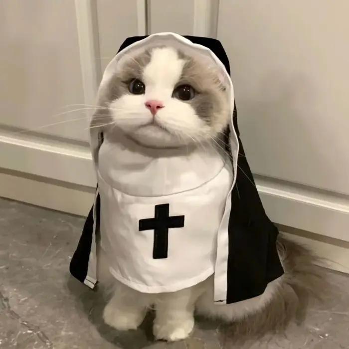 Costume de Cosplay de noël pour chien et chat, déguisement respirant pour chiot, chaton, jésus, nonn