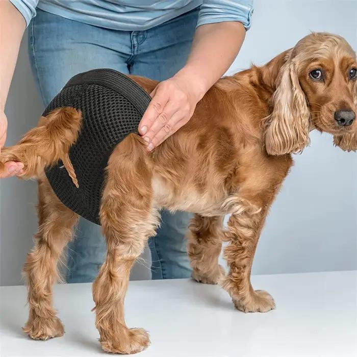 Couches-culottes pour chien femelle hygiéniques avec serviettes cautérisantes pour saignement physiologique et prévention des infections chez les chiens masculins enveloppes lavables