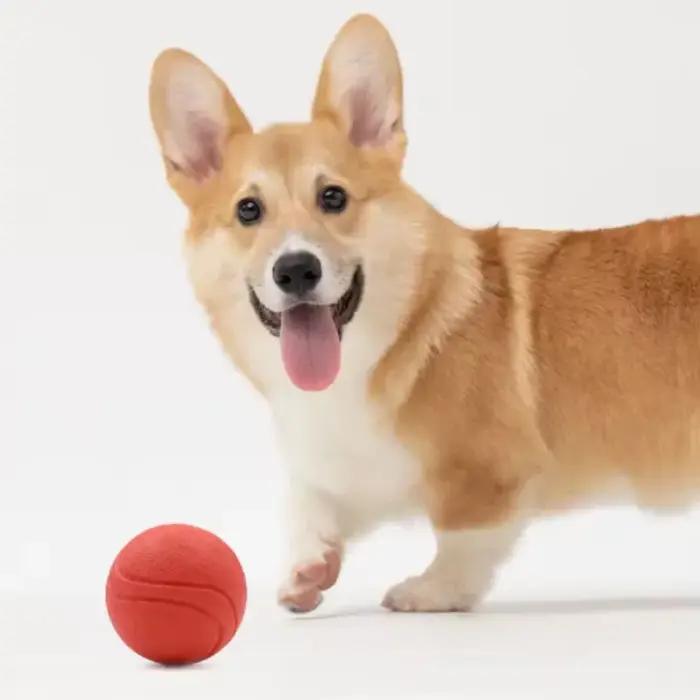 Balle en caoutchouc résistante pour chiens rouge pour chiots et grands chiens occasions de jeu et cadeaux pour animaux de compagnie
