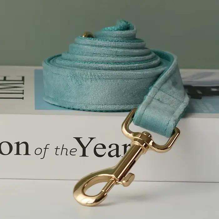 Laisse de collier pour chien, corde d'entraînement de marche, fournitures pour animaux de compagnie,