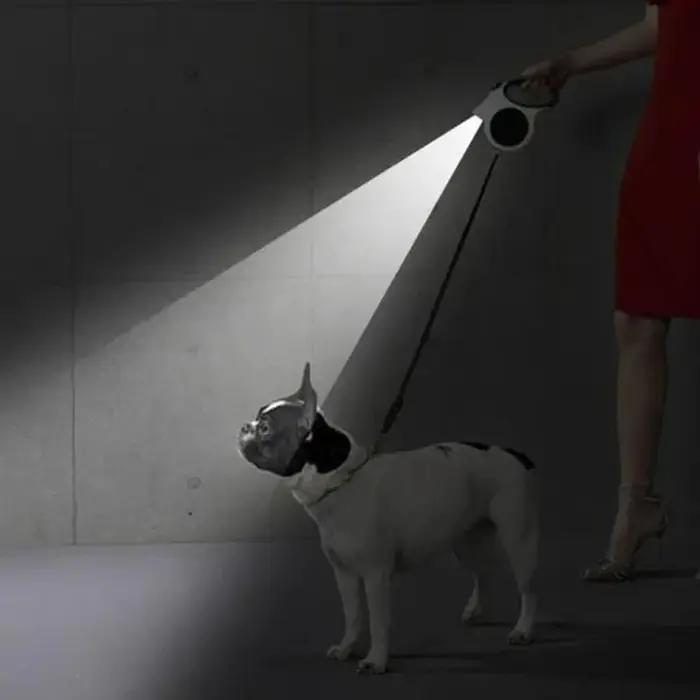 1 laisse rétractable lumineuse pour chien – 16 pieds