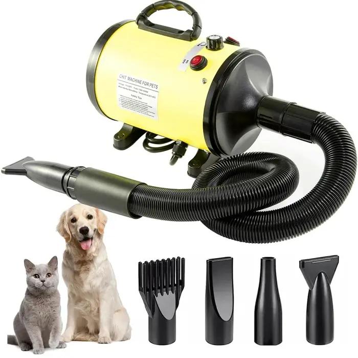 Sèche-cheveux haute puissance pour grands chiens, souffleur d'eau pour Golden Retriever et Teddy, faible bruit, machine de séchage des poils, produit pour animaux de compagnie, soin des animaux, après baignade, sortie hivernale, cadeau pour propriétaires de chiens
