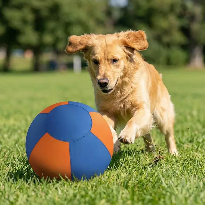 Ballon de dressage pour chiens avec housse de protection et pompe