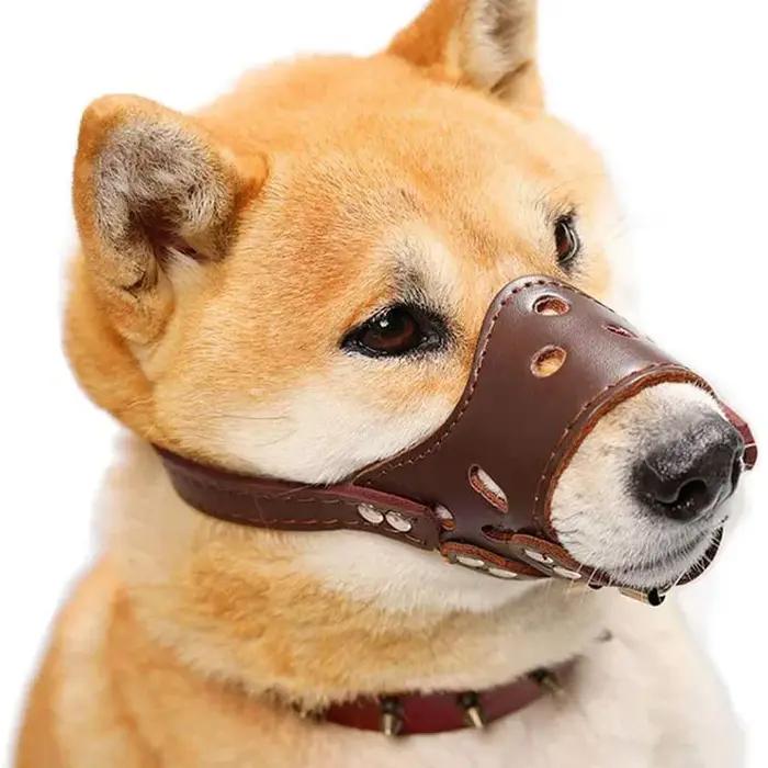 Muselière en cuir souple antimoisson pour chiens de toutes les races confortables et sécurisantes pour promenades quotidiennes et visites chez le vétérinaire