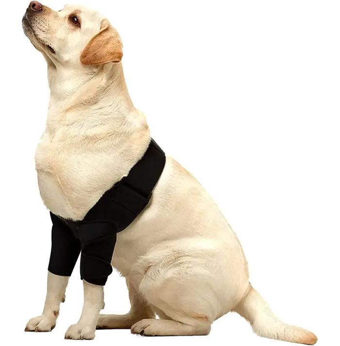 Attelle de protection complète pour coude de chien