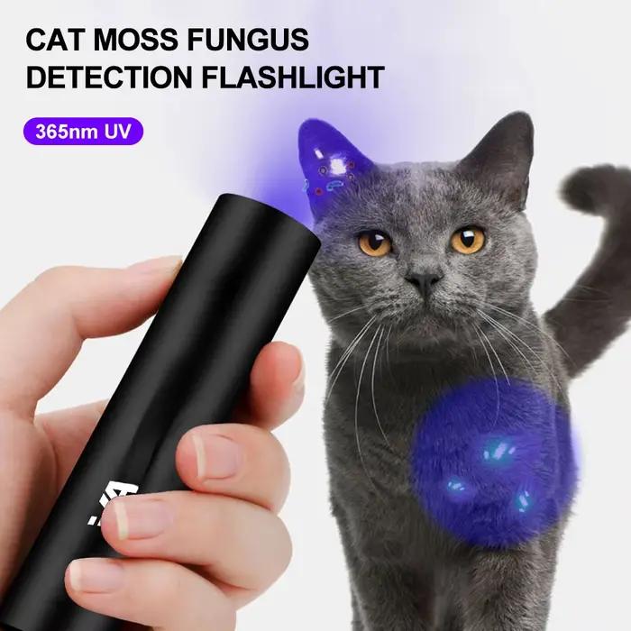 Lampe de poche ultraviolette Rechargeable par USB 365nm, lampe de détection de champignons en mousse