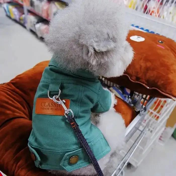 Vêtements pour chien, robe pour chiens, teckel, chiot, Corgi, sweat à capuche moyen, accessoires pou